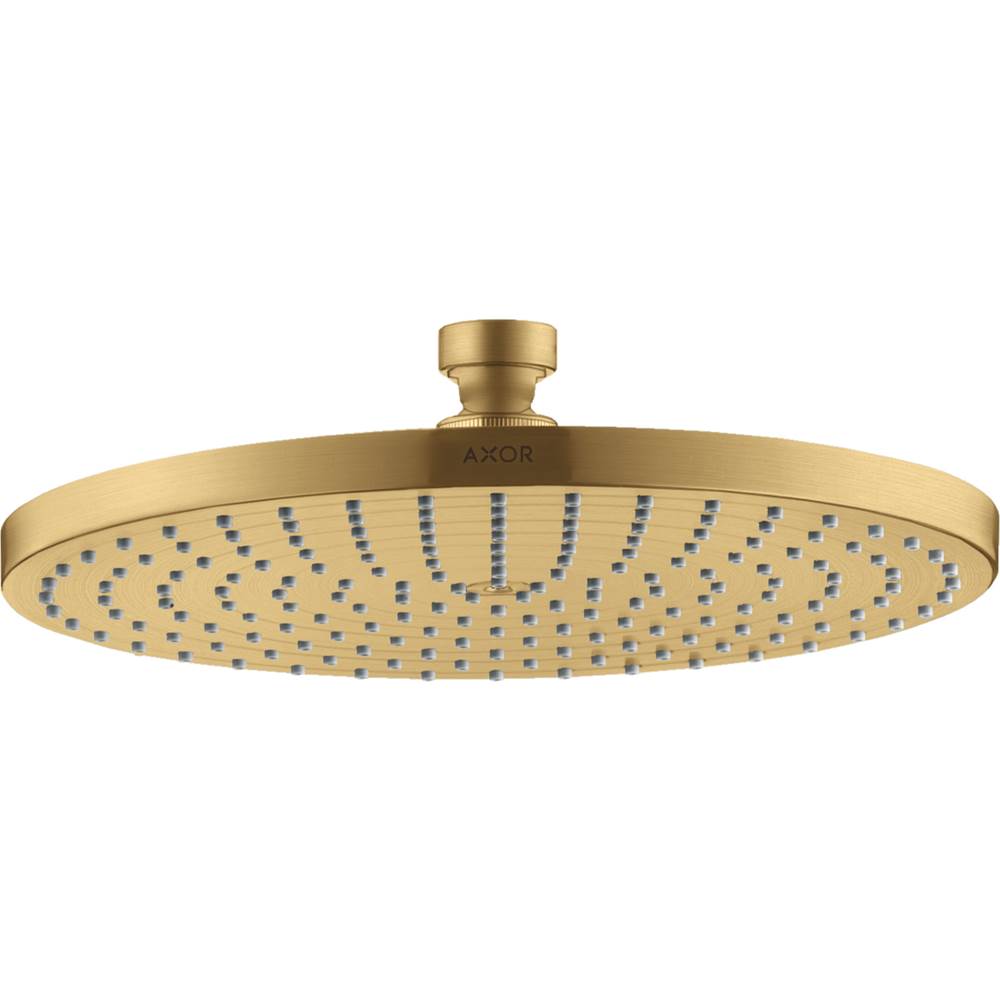 Axor ShowerSolutions Showerhead  240 1-Jet Powder Rain, 1.75 GPM in Brushed Gold Optic
