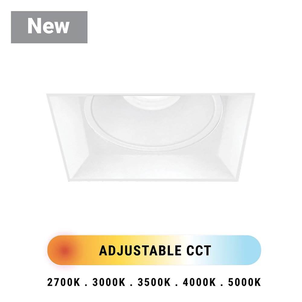 Eurofase 2 Inch Trimless Square Fixed Downlight In White