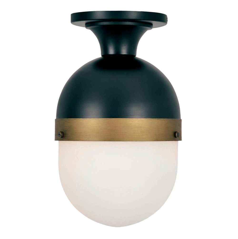 Crystorama Brian Patrick Flynn for Crystorama Capsule 1 Light Matte Black  plus  Textured Gold Outdoor Ceiling Mount